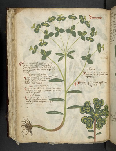 Lägg till MS 41623 f.94v 