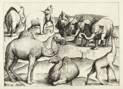 Djurmålningar från antikens Rom, bord, 3., pub. Antonio Lafrere 1528 av Italian School