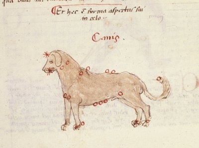 Stjärnbilden av hunden (Canis). Miniatyr från "" Astronomica" av Biasino da Parma (Blaise de Parma) (1425-1457) av Italian School
