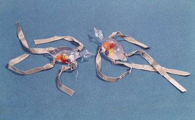 Kopia av två medicinska termometrar från Museo di Storia della Scienza i Florens (glas & band) av Italian School