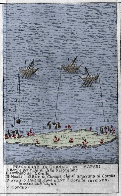 Korallfiske i Trapanibukten på Sicilien, en representation av små undervattensöar där koralltunnor bildas. Gravyr från "" Stato Presente della Sicilia"" av Arcangelo Leanti, Palermo 1761 av Italian School