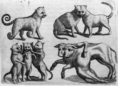 Olika typer av monster: katter och kor med flera kroppar. Gravyr från "Monstrens natur, deras orsaker och skillnader" av Fortunio Whilei (1577-1656), italiensk vetenskapsman. 1646 av Italian School