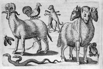 Olika typer av monstruösa djur, med flera kroppar eller en onormal mängd lemmar. Gravyr från "Monstrens natur, deras orsaker och skillnader" av Fortunio Whilei (1577-1656), italiensk vetenskapsman. 1646 av Italian School