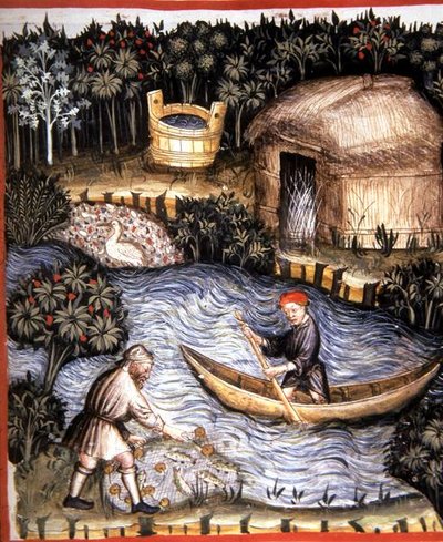 Fol.82r Färsk fisk, illustration från 
