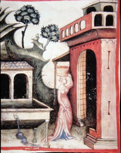 Fol.88v källvatten, illustration från 