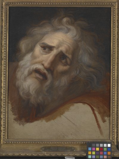 Head Of Laocoon (olja på duk) av Italian School