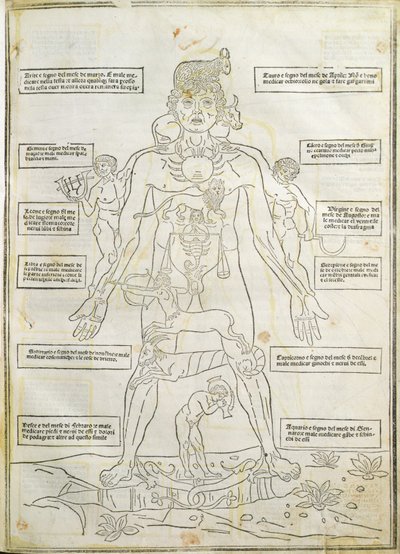 Illustration från 