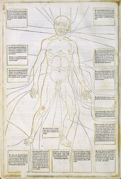 Illustration från "Fassiculus Medicinae" Venedig av Italian School
