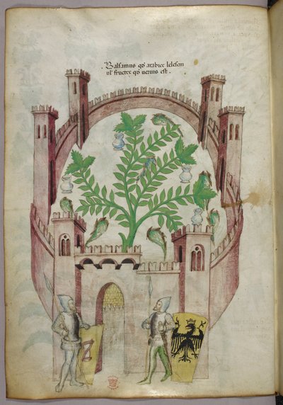 Illustration av balsamträdgården i Kairo (Fustat), med sju vattenbassänger och krukor för att fånga upp balsamen, en växt i mitten, med två riddare i rustning som flankerar porten, med sköldar med heraldiska vapen, ca 1440 (bläck  färg på pergament) av Italian School