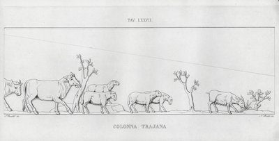 Trajanus kolumn, Trajanus kolumn (gravyr) av Italian School