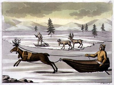 Han- och honrenar och en lappare på sin släde dragen av en ren, skylt 43 från 