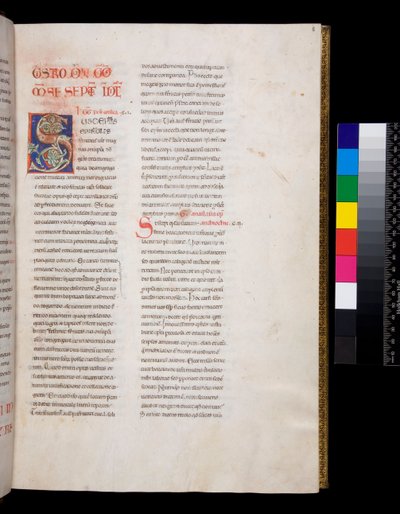 Ms 143. Gregorius den store, Registrum Epistolarum, f.8r. Dekorerad initial [S] med vit vinbladsfyllning och avslutningar av Italian School