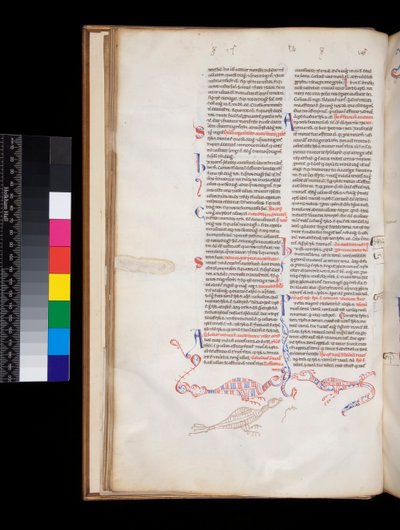 Ms 164. Peter Lombar, Sententiae, f.15v. bas-de-page penn-work dekoration utvecklats till fågel/drake hybrider av Italian School