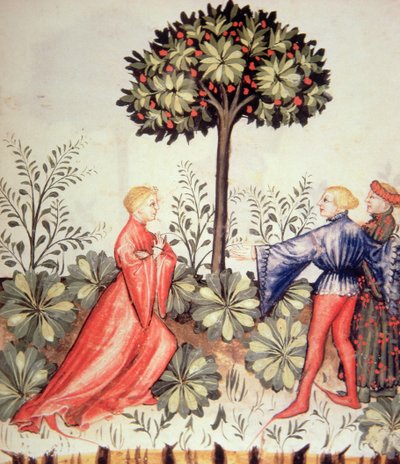 Nova 2644 fol.24r Harvesting Senap, från Tacuinum Sanitatis av Italian School