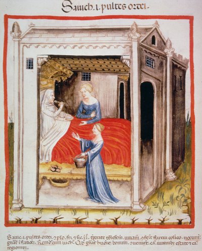 Nova 2644 fol.44v Smakande kornsoppa, från Tacuinum Sanitatis av Italian School