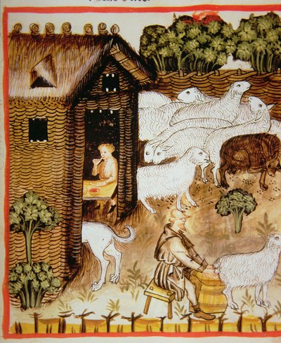 Nova 2644 fol.59r Fåruppfödning: söt mjölk, från Tacuinum Sanitatis av Italian School