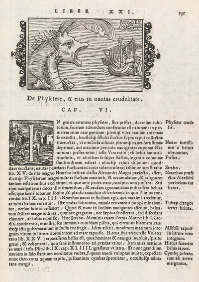 Sida 735 från Nordens historia av Magnus Olaus, Rom 1565 (tryck & gravyr) av Italian School