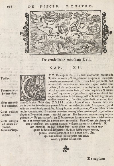 Sida 740 från Nordens historia av Magnus Olaus, Rom 1565 (tryck & gravyr) av Italian School