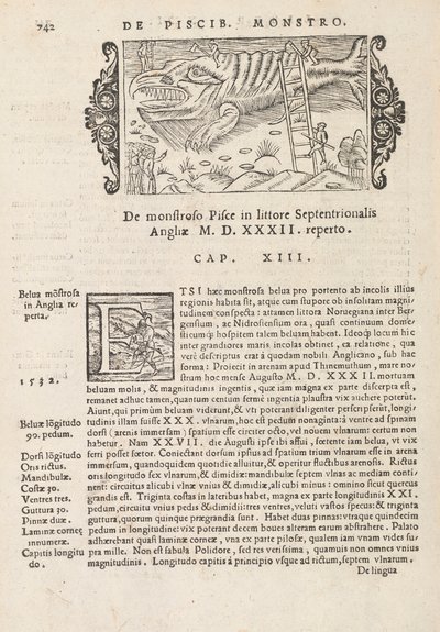 Sida 742 från History of the Northern Gentivus av Magnus Olaus, Rom 1565 (tryck & gravyr) av Italian School