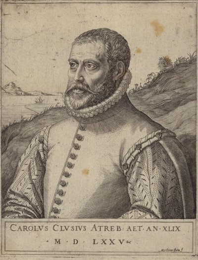 Porträtt av Carolus Clusius av Italian School