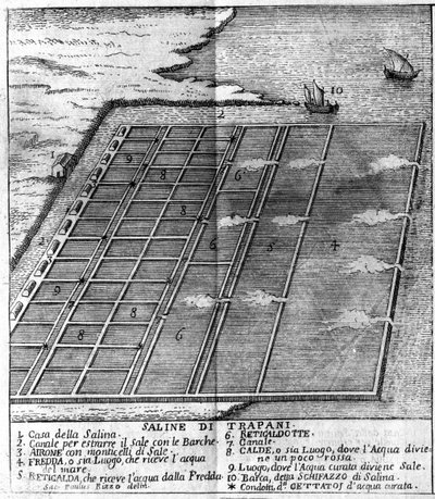 Saltkärr i Trapani. illustrerad tavla hämtad från "" Present State of Sicily "" av Arcangelo Leanti, Palermo 1761 av Italian School