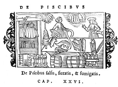 Saltning, torkning och rökning av fisk, illustration från Historia de Gentibus Septentrionalibus av Olaus Magnus (1490-1558), publicerad i Rom, 1555 av Italian School