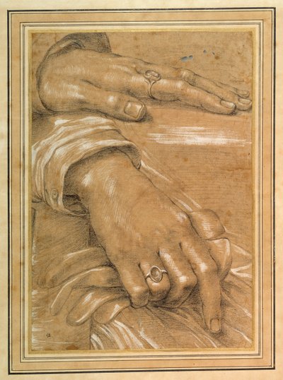 Studie av en mans händer (svart krita & vit kroppsfärg på papper) av Italian School