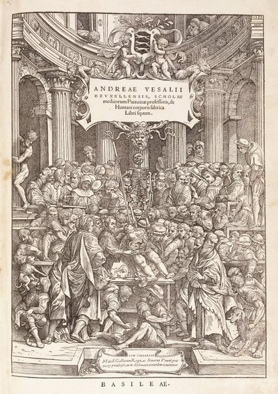 Författaren genomför en anatomisk dissektion i en kirurgisk teater, 1543 av Italian School