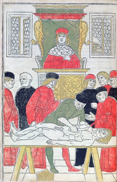 Dissektionen, illustration från 