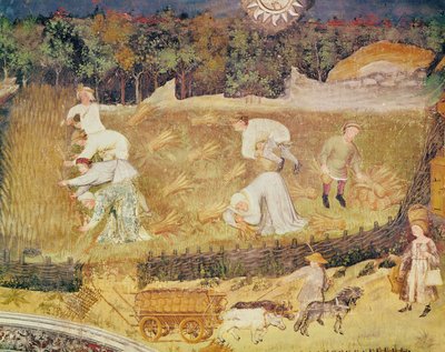 Augusti månad, detalj av skörden, c.1400 (fresk) av Italian School