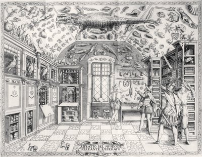 Kejsar Ferdinand III:s naturhistoriska museum från Historia Naturale av Ferrante Imperato (1550-1631) pub. år 1672 av Italian School