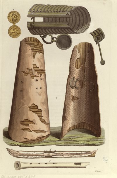 Olika vikingaföremål: bronsarmband, guldmedalj med runalfabet, sköldar, flöjter. Illustration av V. Raineri från 