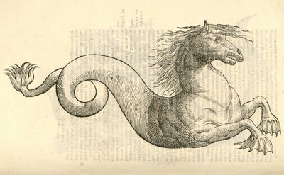 illustration av Equus marinus monstrosus från Aldrovandis History of Monsters, 1642 av Italian School