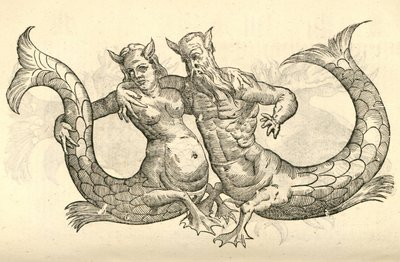 illustration av Monstra Niliaca Parei från Aldrovandis History of Monsters, 1642 av Italian School