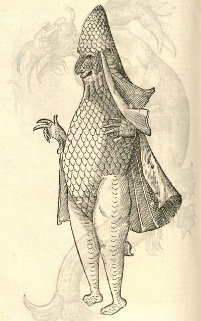 illustration av Monstro Marinus från Aldrovandis History of Monsters, 1642 av Italian School