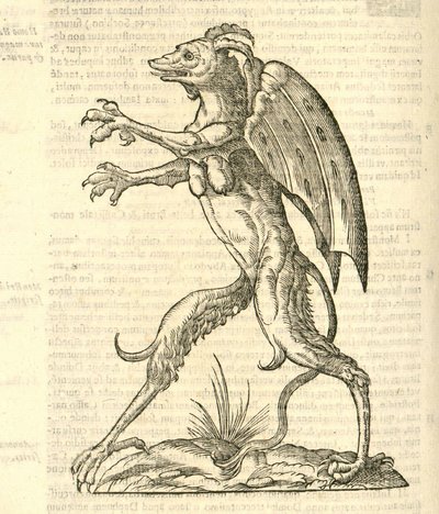 illustration av ett bevingat och behornat monster som en demon från Aldrovandis History of Monsters, 1642 av Italian School