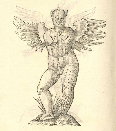 illustration av ett bevingat monster från Aldrovandis History of Monsters, 1642 av Italian School