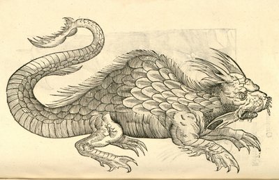 illustration av Orobonis Piscis-bilder från Aldrovandis History of Monsters, 1642 av Italian School