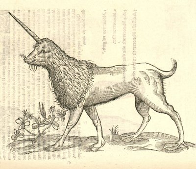 illustration av en Camphurch från Aldrovandis History of Monsters, 1642 av Italian School
