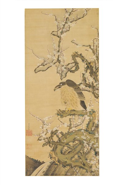 Umetaka-zu (Hök på en blommande plommongren) av Ito Jakuchu