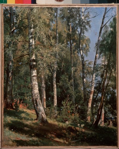 Björklund (Birch grove) - Målning av Ivan Ivanovich Shishkin (Shishkin) (1832-1898), olja på duk av Ivan Ivanovich Shishkin