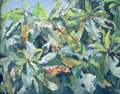 Plants, 1961 av Izabella Godlewska de Aranda