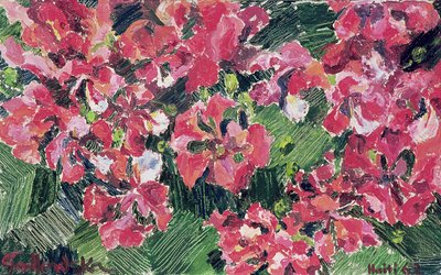 Rhododendron, 1962 av Izabella Godlewska de Aranda