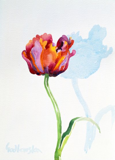 Tulip, 1998 (wc på papper) (se även 124446 & 124448) av Izabella Godlewska de Aranda