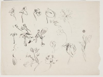 Blomma skisser av J.A. Jerichau