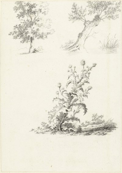 Två studier av ett träd och en tistel av J.B. Joss (attributed to)