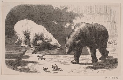 Björnar i Jardin des Plantes av J.C. Nielsen