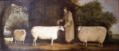 En herde med sin flock av J.D. Curtis