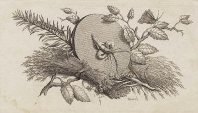 En cirkulär lutande skiva mellan löv och insekter av J.F. Clemens