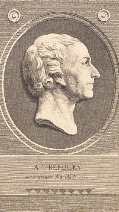 Reliefmedaljong med porträtt av zoologen Abraham Trembley av J.F. Clemens
